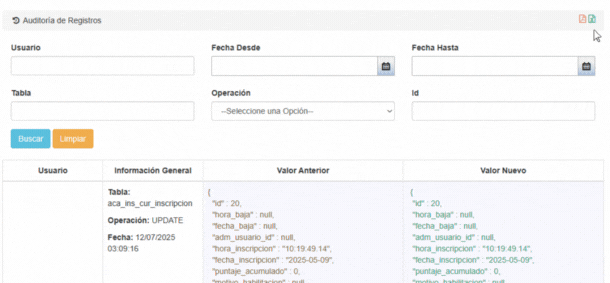 Descargar Auditoría de Registros